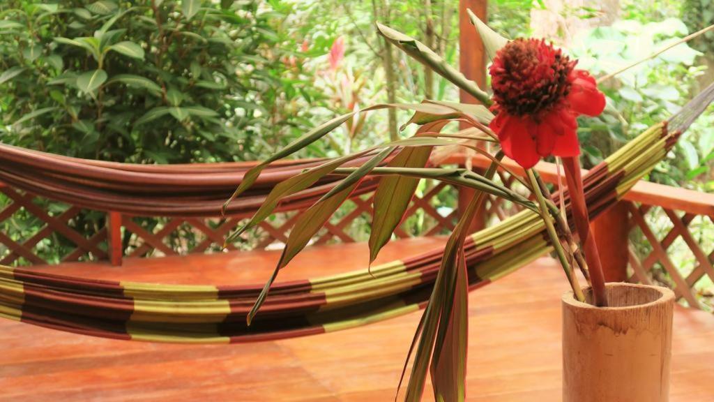 Casa Moabi Bed & Breakfast Cocles Exterior foto