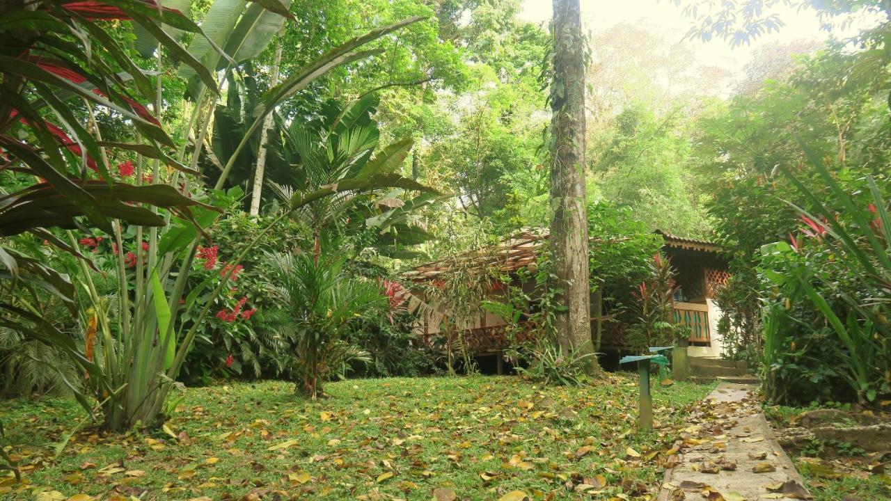 Casa Moabi Bed & Breakfast Cocles Exterior foto
