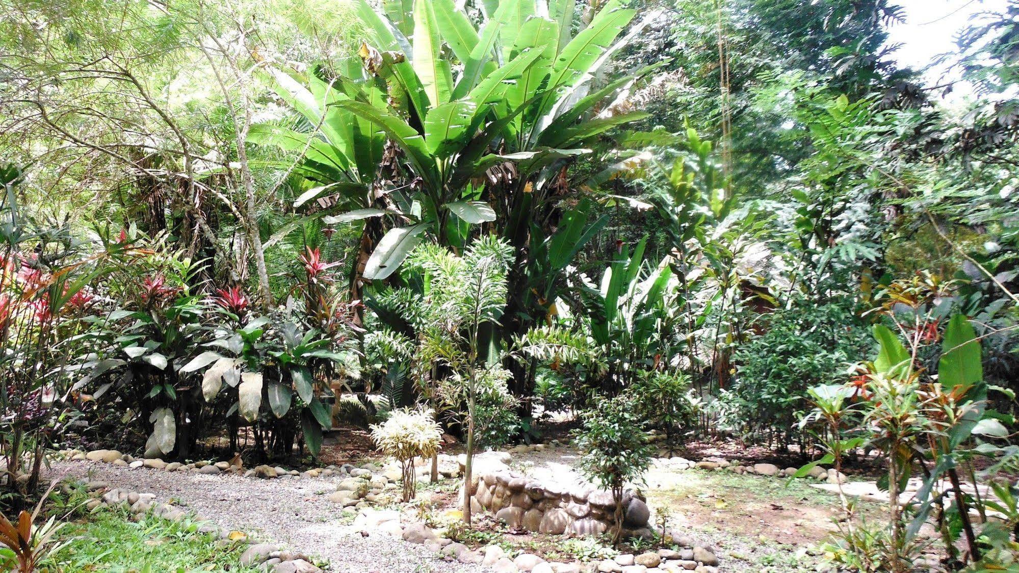 Casa Moabi Bed & Breakfast Cocles Exterior foto
